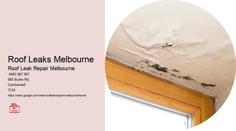 Leaking Roof Repairs Melbourne